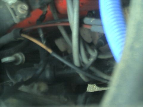 1989 Ford Bronco - Close-up view of an engine bay, showing a tangle of wires and hoses, including a prominent blue corrugated tube.