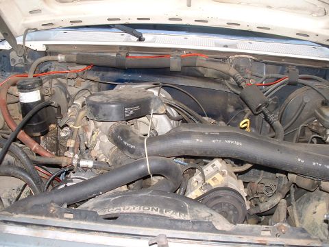 1990 Ford Bronco - The engine bay of a 1990 Ford Bronco is visible, with various hoses, belts, and engine components.