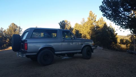 1995 Ford Bronco - Gray 1995 Ford Bronco with spare tire mounted on rear parked outdoors.