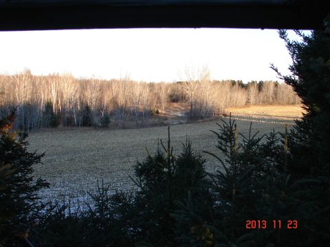 1978 Ford Bronco - A winter scene with a field and trees, captured on November 23, 2013.