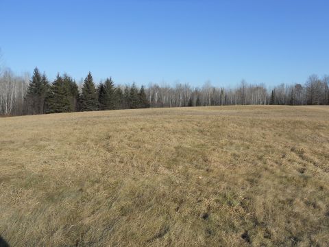 1978 Ford Bronco - A wide expanse of dry grass stretches towards a distant treeline under a vast, cloudless sky.