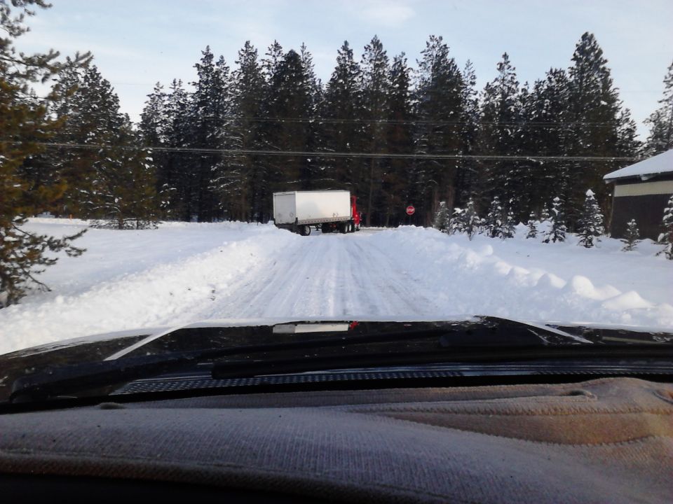 White semi-trailer truck on a snowy road with pine trees.