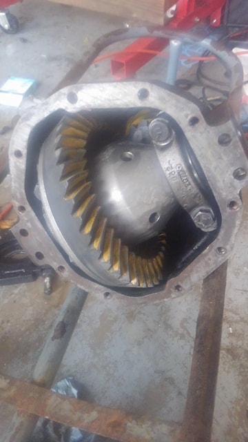 1988 Ford Bronco - Dana 50 third member regeared for 5.13 ratio and Grizzly locker installed