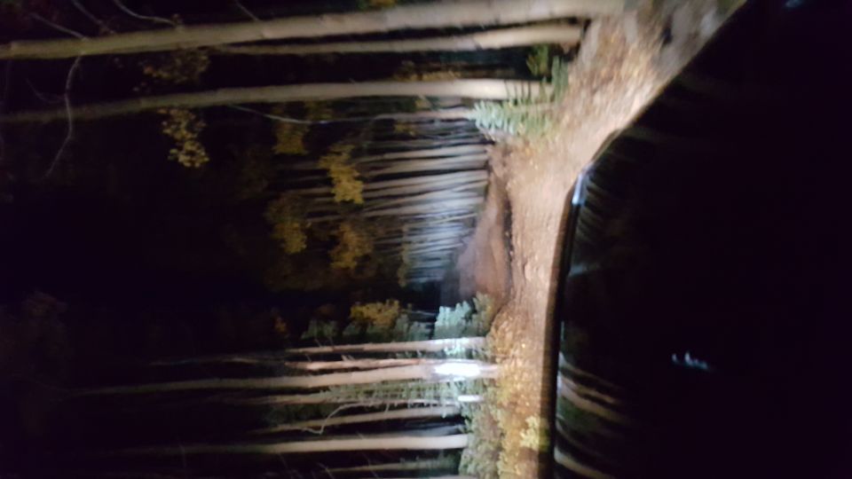 Vehicle headlights on a dirt road at night through a forest, with the side of the vehicle visible.