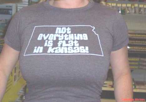 1979 Ford Bronco II - A person wears a t-shirt with a graphic about Kansas's topography.