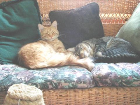 1995 Dodge Intrepid “Negative Energy”