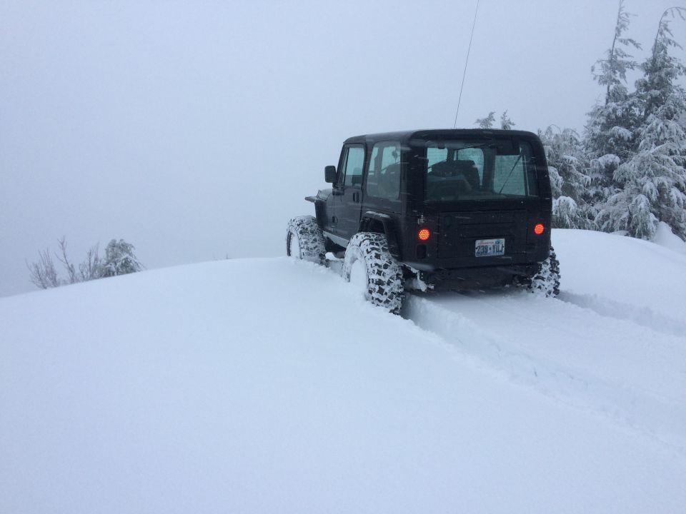 Black 1995 Jeep YJ driving in snow, rear view, with visible license plate