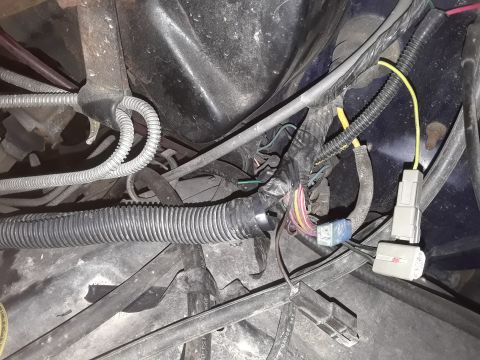 1985 Ford Bronco - This image shows a complex wiring harness in a vehicle's engine compartment, not a gauge.