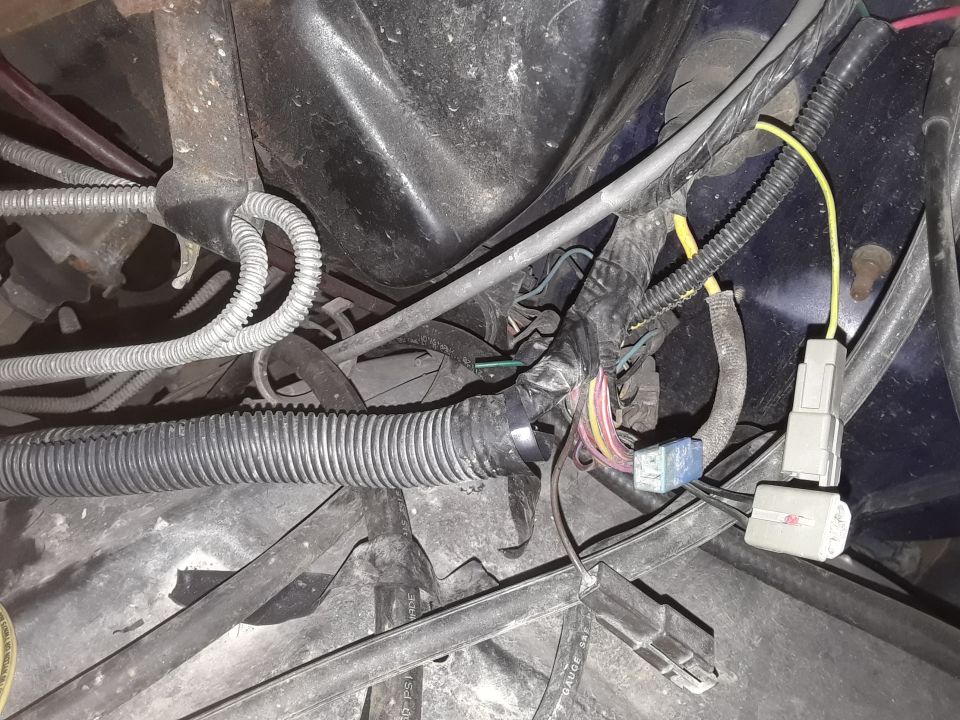 Close-up of a vehicle's engine bay wiring harness with various connectors and corrugated tubing