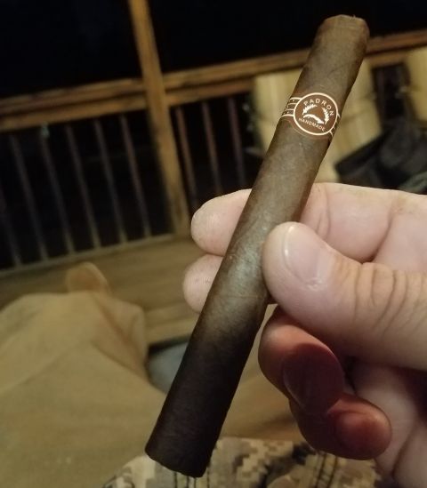 2018 Ford Bronco - A hand holds a Padron handmade cigar with its band clearly visible.