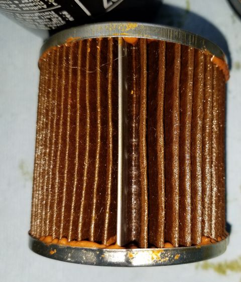 2000 Ford Crown Victoria - This oil filter shows signs of use with its pleated element and sealant.