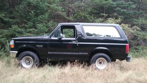 1993 Ford Bronco - A black 1993 Ford Bronco is seen from the side, parked in a natural outdoor setting with trees and tall grass.