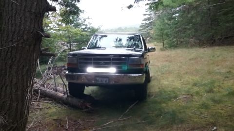 1993 Ford Bronco - A black Ford truck is parked off-road, partially obscured by a tree and fallen logs.