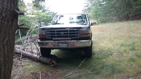 1993 Ford Bronco - A black 1993 Ford Bronco is parked in a grassy, wooded area, partially obstructed by a fallen tree.