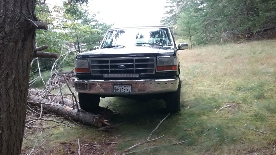 1993 Ford Bronco front view parked in woods with fallen tree