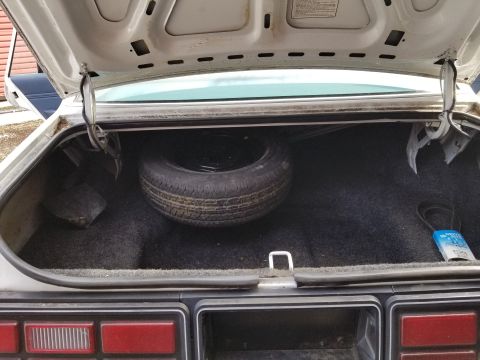 2001 Ford Crown Victoria - Photograph of an open car trunk with a spare tire and taillights; not a technical document.