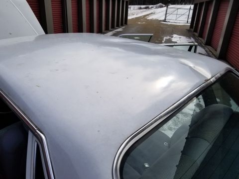 2001 Ford Crown Victoria - Photo of the roof and rear glass of a white sedan parked outside, not a technical document.