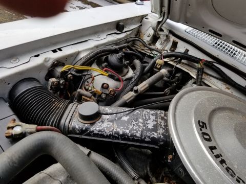 2001 Ford Crown Victoria - Photo of a Ford 5.0 liter V8 engine bay, not a technical document.