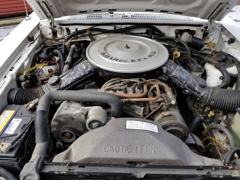 2001 Ford Crown Victoria - Photo of a Ford 5.0 liter EFI HO engine bay, not a technical document.