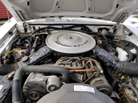 2001 Ford Crown Victoria - Photo of a Ford 5.0 liter EFI HO engine compartment, not a technical document.