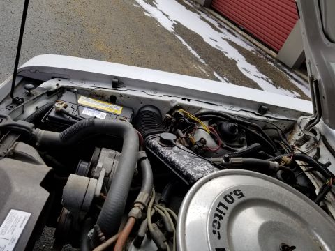 2001 Ford Crown Victoria - Photo of the open hood and engine bay of a white Ford sedan, not a technical document.