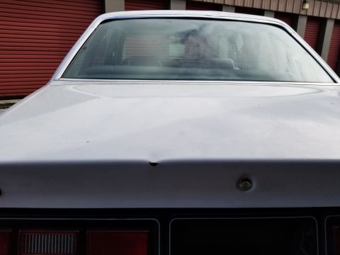 2001 Ford Crown Victoria - Photograph of the front hood and windshield of a silver vehicle, not a technical document.