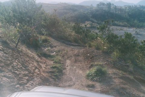 1990 Toyota Tacoma “my rig in japan”