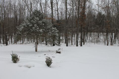 2004 Land Rover Land Rover - Snowmageddon 2018