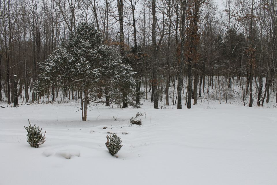 Snowmageddon 2018