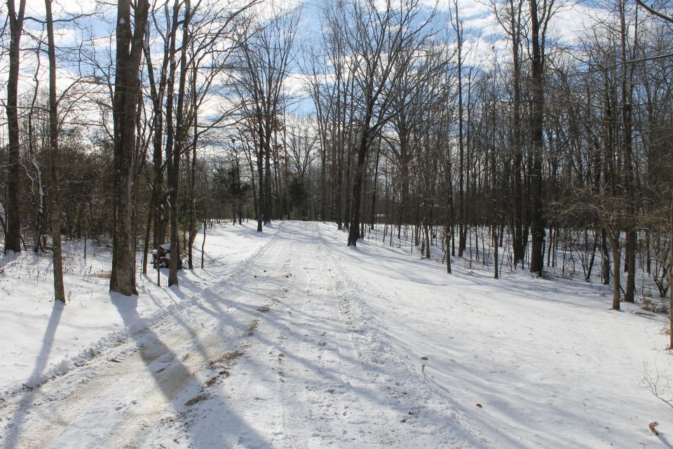 Snow-covered road through a forest in winter.