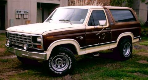 1980 Ford Bronco - This 1978 Ford Bronco shows significant wear and tear on its exterior paint.
