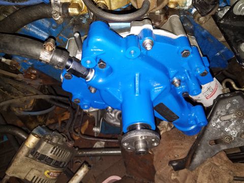 1976 Ford Ranchero - Close-up of a blue painted engine water pump assembly, with visible hoses and an alternator.