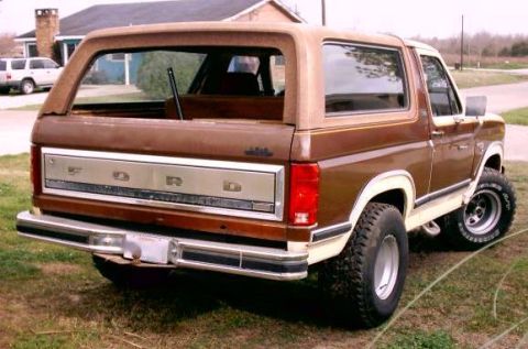 1980 Ford Bronco - The rear of a brown 1980 Ford Bronco is visible, with a chrome tailgate panel and chrome bumper.
