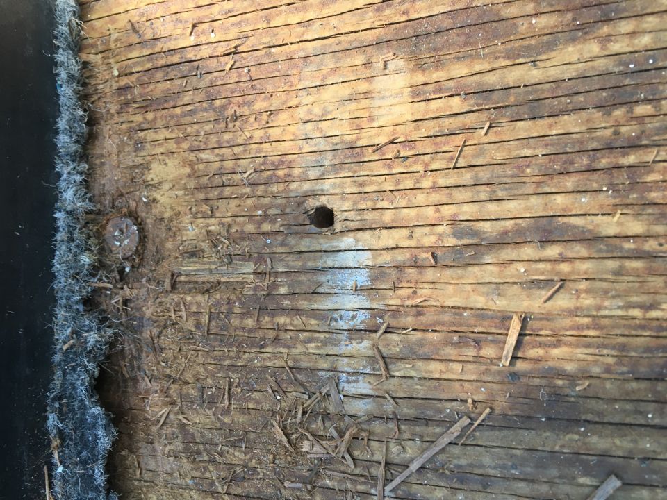 Weathered wood with a hole and a rusty nail, next to dark fuzzy material.