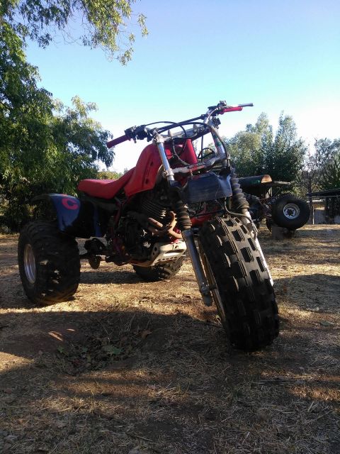 1985 Honda 350 X “The X”