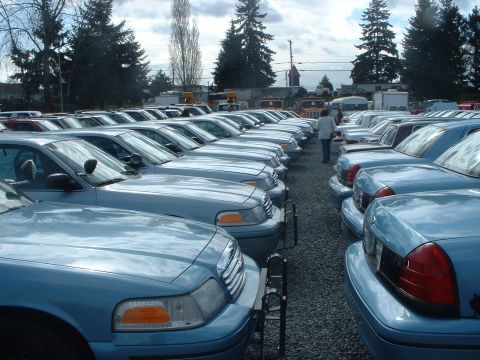 1999 Ford Crown Victoria - Row of retired Seattle Police PIs.