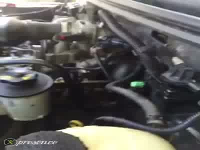 2004 Ford F-150
