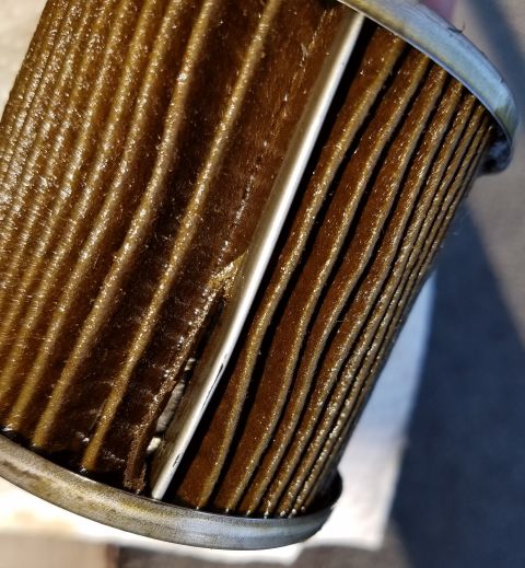2000 Ford Crown Victoria - This is a used oil filter, showing the pleated filter media saturated with dirty oil.