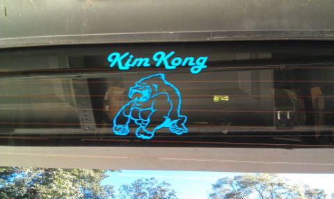 1995 Ford Bronco - A blue decal of a gorilla with the text 'Kim Kong' is applied to the rear window of a vehicle.