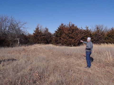 1994 Ford Bronco - A man stands in a dry, grassy field, pointing towards a line of trees under a clear blue sky.
