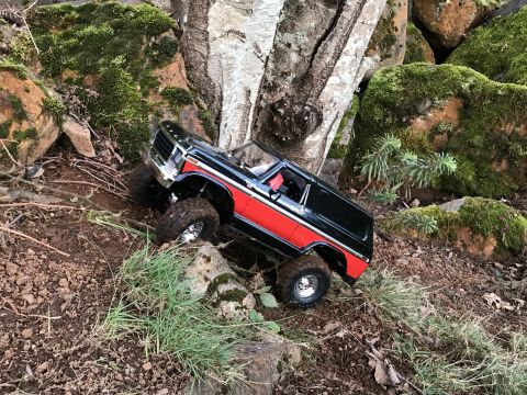 1989 Ford Bronco - RC Bronco toy vehicle navigates a rocky, wooded terrain.