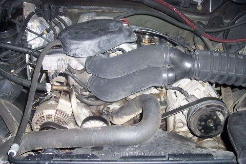 1995 Ford Bronco - This is a close-up, eye-level view of the engine bay of a 1995 Ford Bronco. The image focuses on the engine components, including hoses, be…