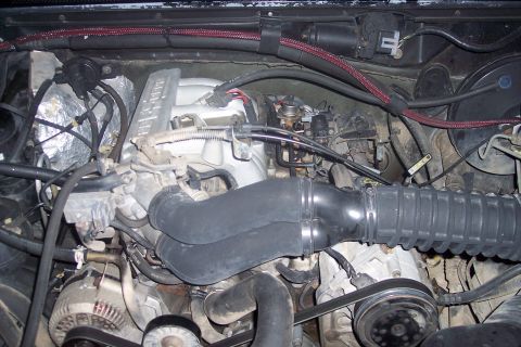 1995 Ford Bronco - The engine bay of a 1995 Ford Bronco is shown, featuring the intake manifold, throttle body, air intake system, and alternator.