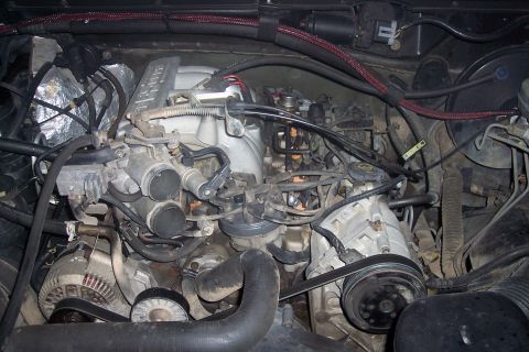 1995 Ford Bronco - The engine bay of a 1995 Ford Bronco is shown, featuring a V8 engine with visible fuel injectors, alternator, and air intake components.