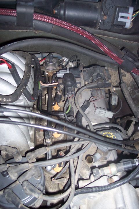 1995 Ford Bronco - A close-up view of the engine bay of a 1995 Ford Bronco, showing various engine components including fuel injectors, wiring harnesses, and…