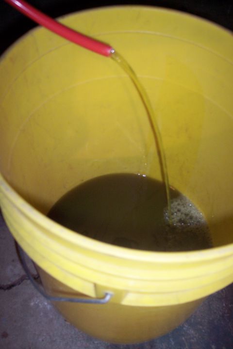 1995 Ford Bronco - A stream of yellow liquid is being poured from a red tube into a yellow bucket containing a dark liquid. Bubbles are forming where the liqu…
