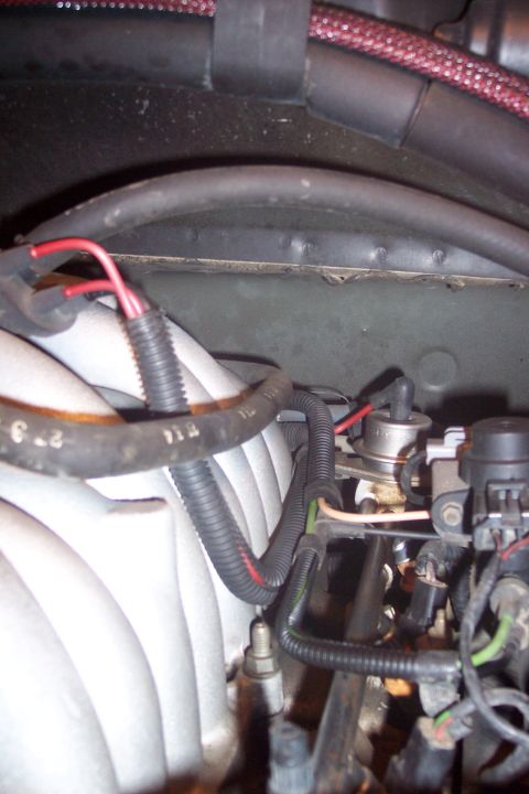 1995 Ford Bronco - Close-up view of the engine bay of a 1995 Ford Bronco, focusing on the intake manifold and various hoses and wiring.