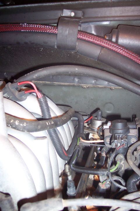 1995 Ford Bronco - A close-up view of engine components in a 1995 Ford Bronco, focusing on the fuel injection system and various hoses and wiring.