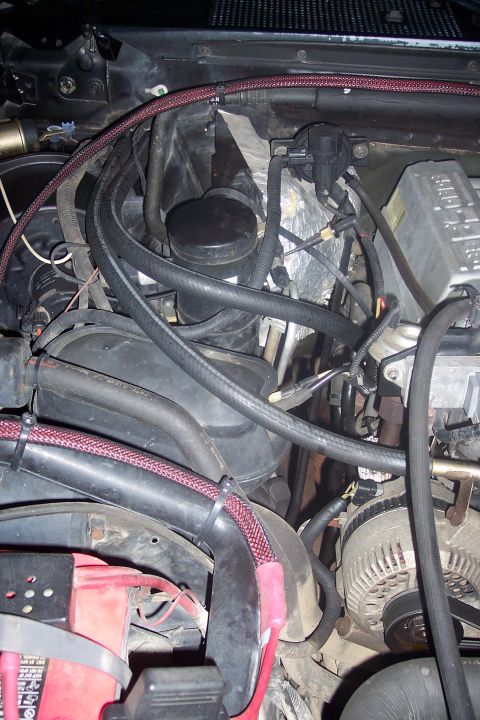 1995 Ford Bronco - Close-up view of the engine bay of a 1995 Ford Bronco, showing various hoses, wires, the alternator, and the battery.