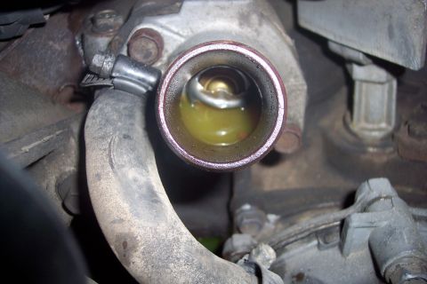 1995 Ford Bronco - A close-up view of the thermostat housing on a vehicle engine, showing the thermostat and coolant inside.